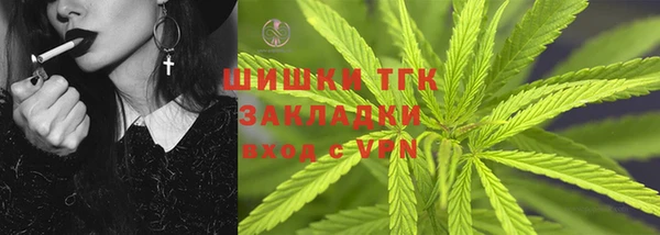 прущие грибы Карталы