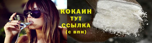эйфоретик Карпинск