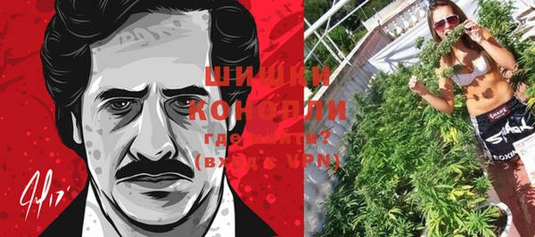 прущие грибы Карталы