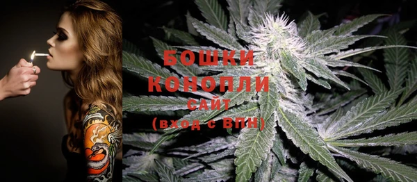 эйфоретик Карпинск