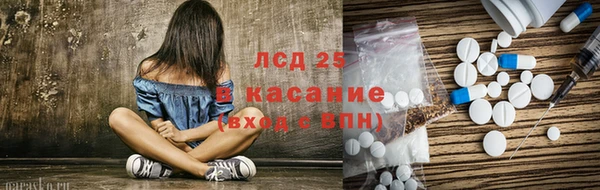 прущие грибы Карталы