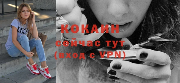 эйфоретик Карпинск