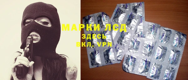 прущие грибы Карталы
