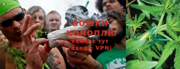 прущие грибы Карталы