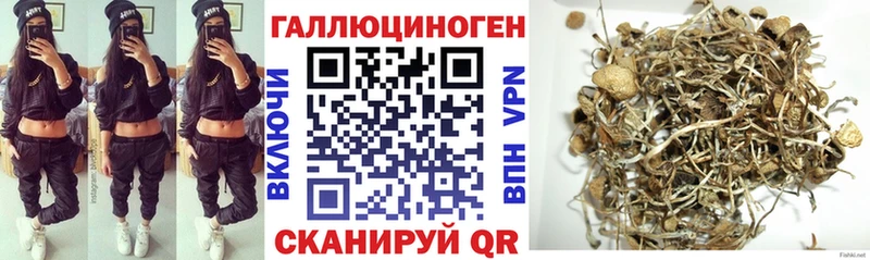 Псилоцибиновые грибы Psilocybe  Купить где  Переславль-Залесский 